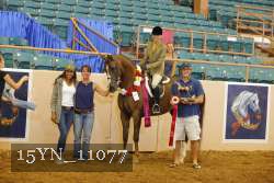 15YN_11077 thumbnail