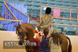 15YN_11080 thumbnail