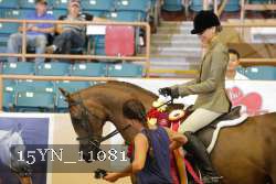 15YN_11081 thumbnail