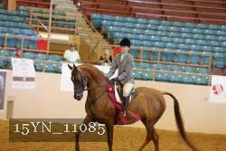 15YN_11085 thumbnail