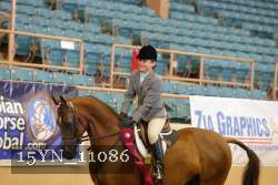 15YN_11086 thumbnail