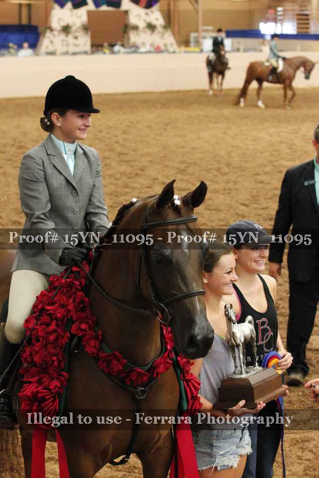 Proof Number 15YN_11095