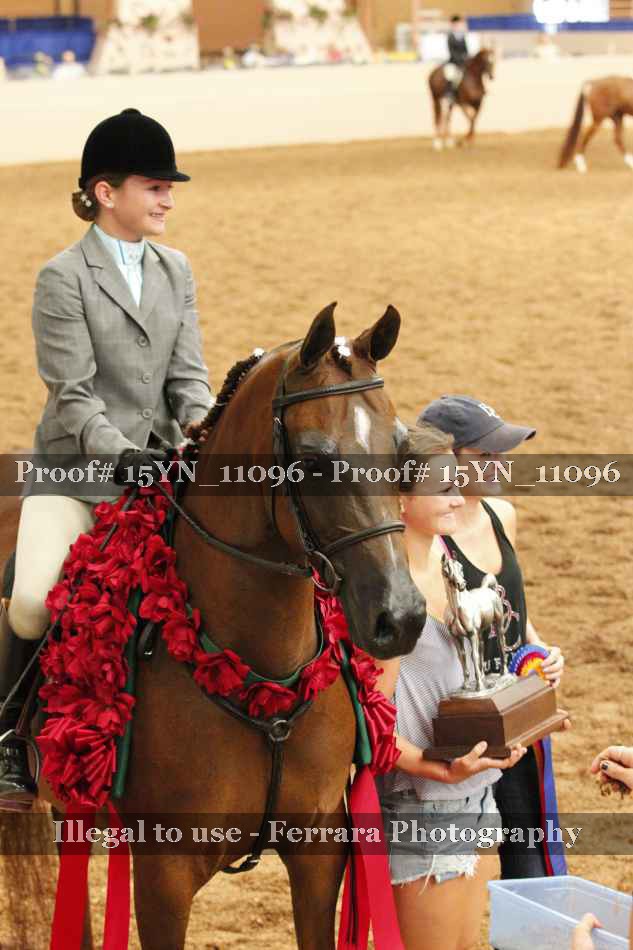 Proof Number 15YN_11096