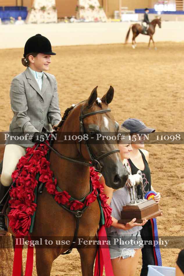 Proof Number 15YN_11098