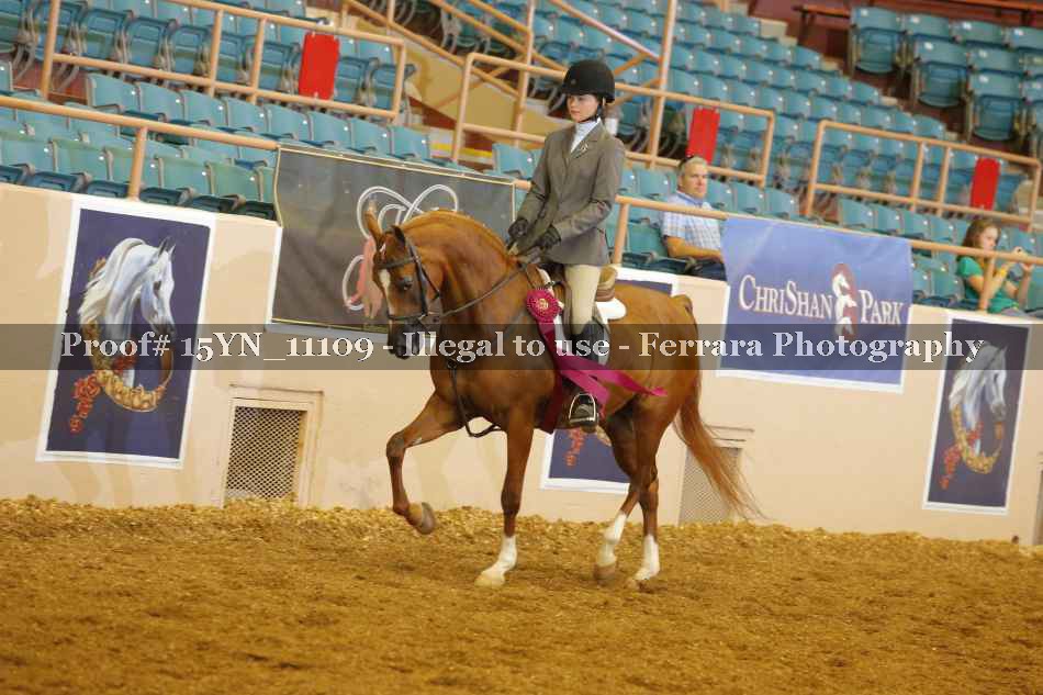 Proof Number 15YN_11109