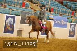15YN_11109 thumbnail