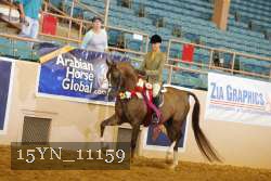 15YN_11159 thumbnail
