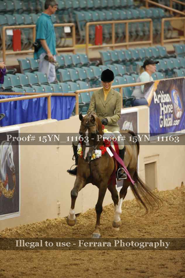 Proof Number 15YN_11163