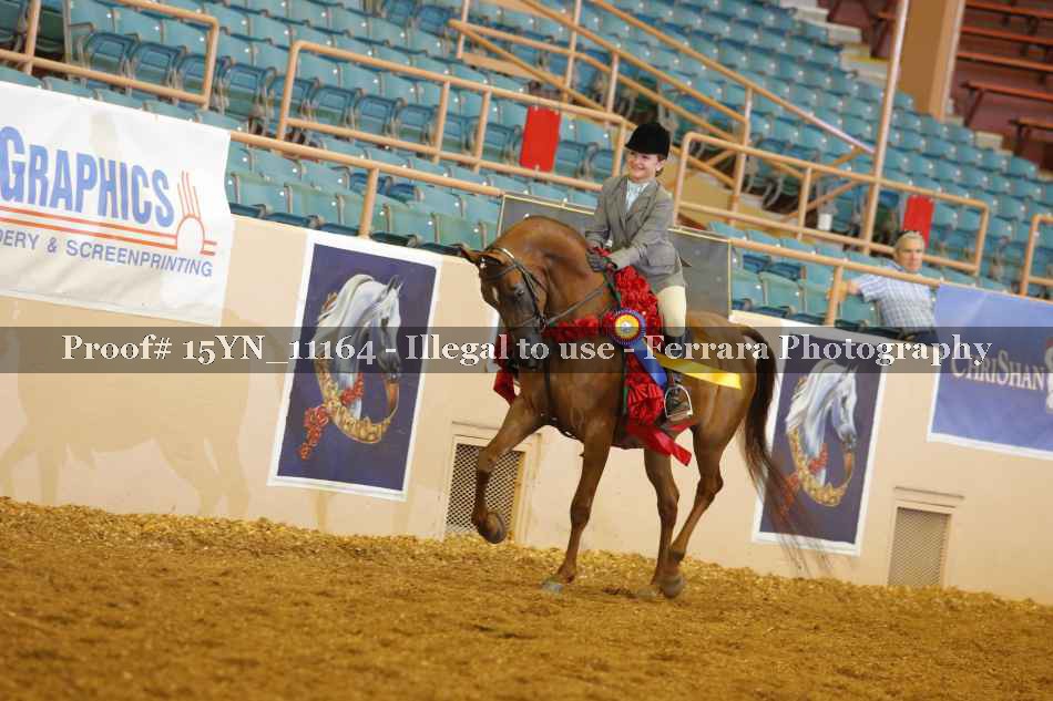 Proof Number 15YN_11164