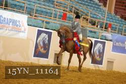 15YN_11164 thumbnail
