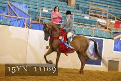 15YN_11169 thumbnail