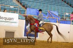 15YN_11170 thumbnail