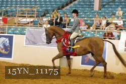 15YN_11175 thumbnail