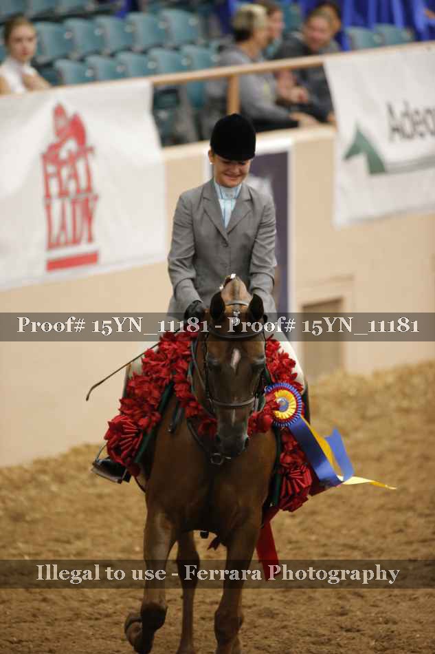 Proof Number 15YN_11181