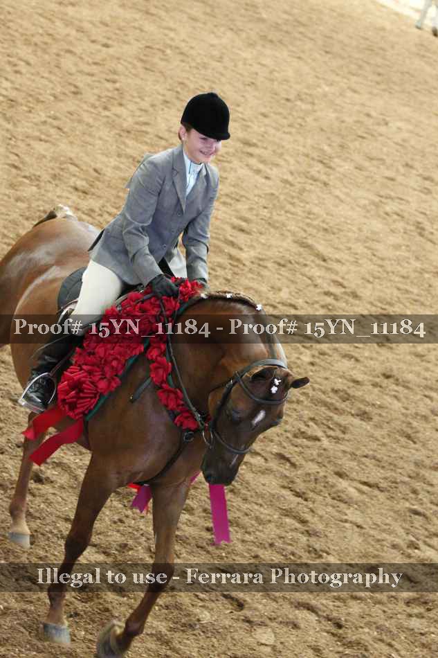 Proof Number 15YN_11184