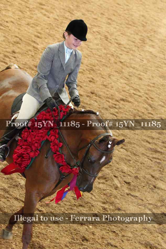 Proof Number 15YN_11185