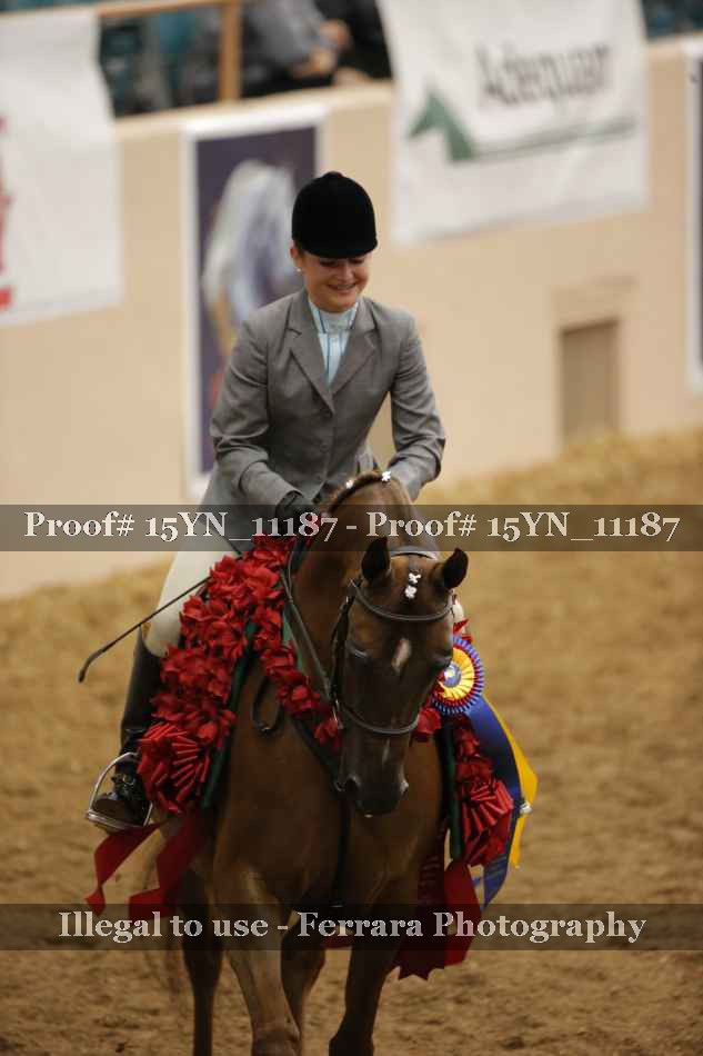 Proof Number 15YN_11187