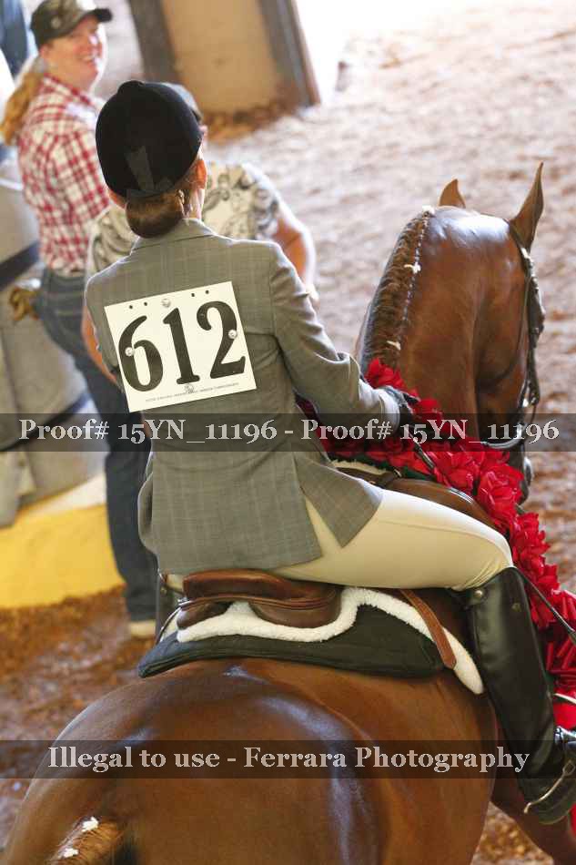 Proof Number 15YN_11196