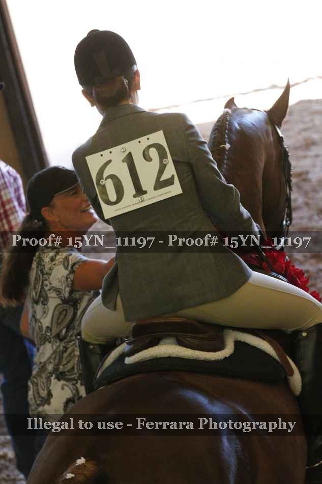 Proof Number 15YN_11197