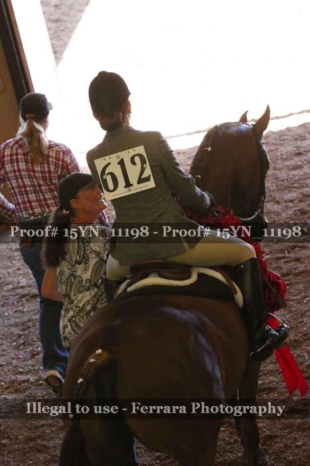 Proof Number 15YN_11198