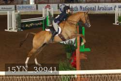 15YN_30941 thumbnail