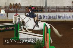 15YN_30968 thumbnail