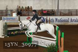 15YN_30977 thumbnail