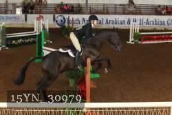 15YN_30979 thumbnail