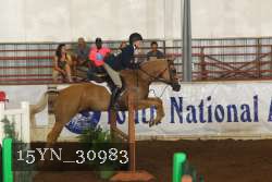 15YN_30983 thumbnail