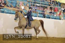 15YN_22081 thumbnail