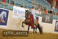 15YN_22173 thumbnail