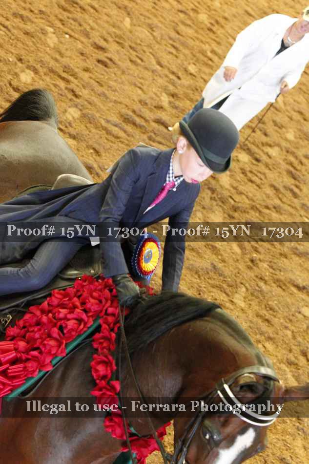 Proof Number 15YN_17304