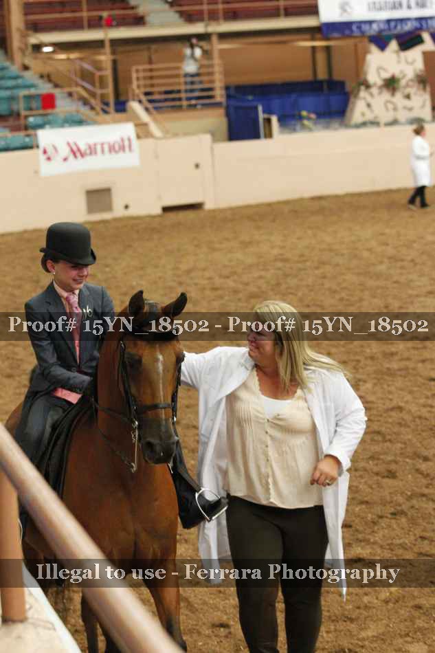Proof Number 15YN_18502