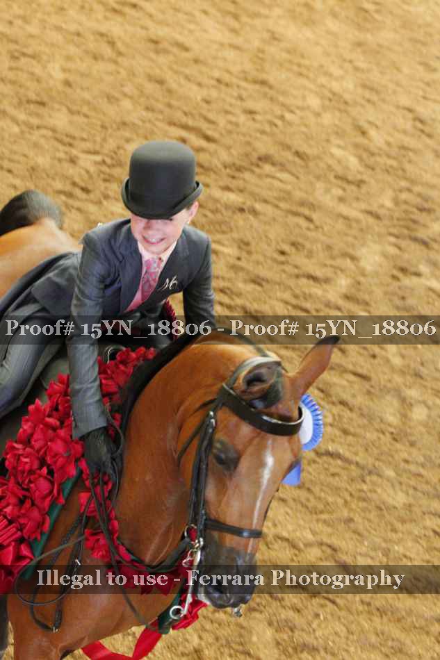 Proof Number 15YN_18806
