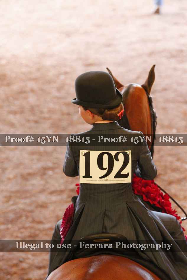 Proof Number 15YN_18815