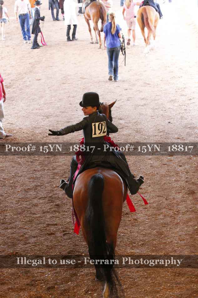 Proof Number 15YN_18817