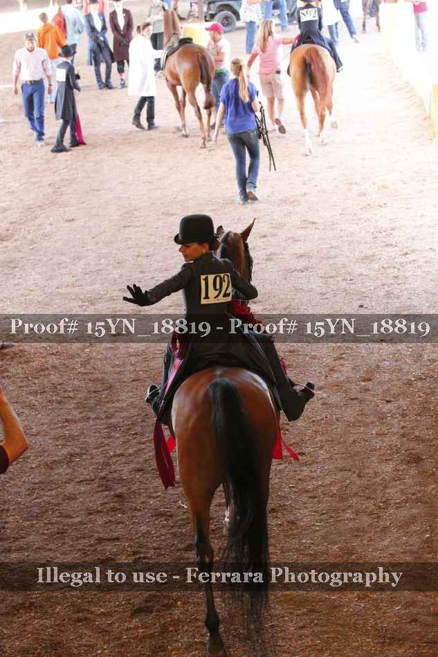Proof Number 15YN_18819