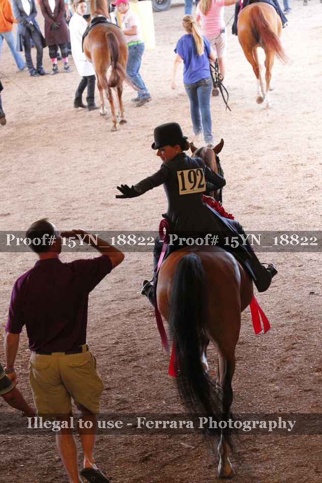 Proof Number 15YN_18822