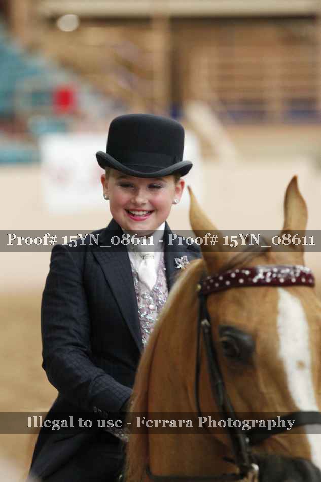 Proof Number 15YN_08611