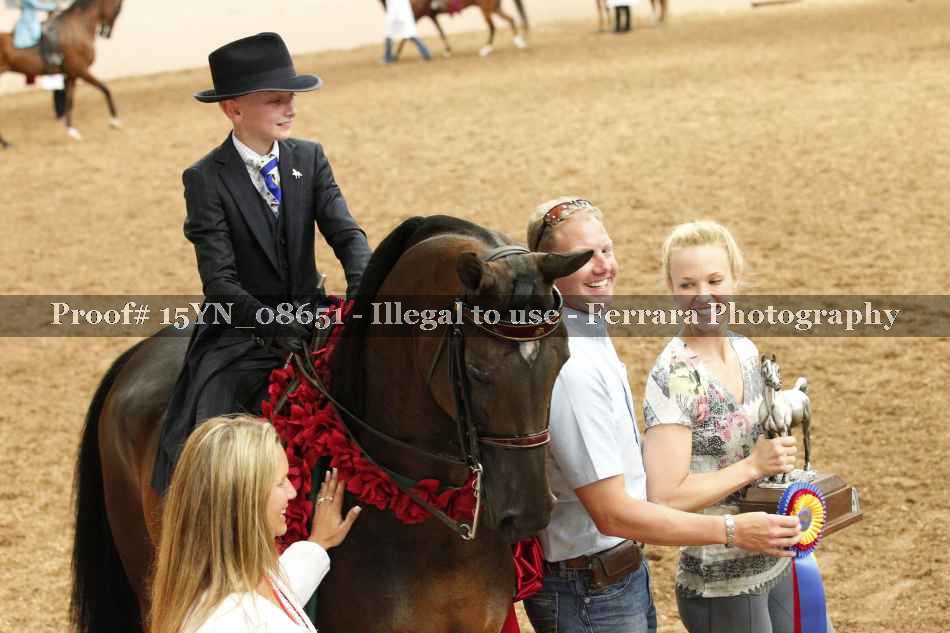 Proof Number 15YN_08651
