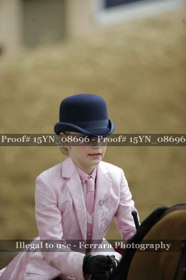 Proof Number 15YN_08696