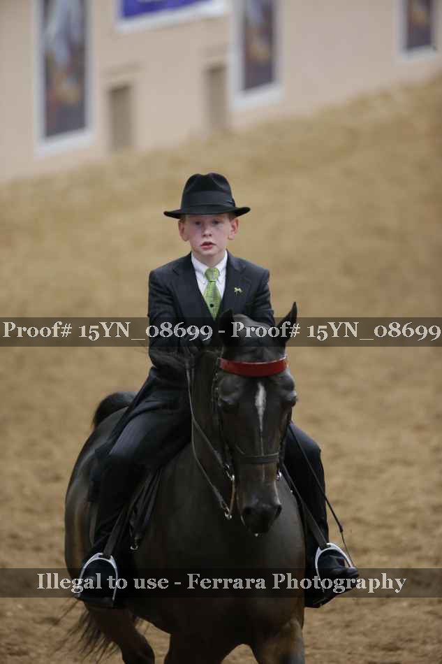 Proof Number 15YN_08699