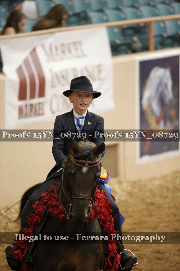 Proof Number 15YN_08729