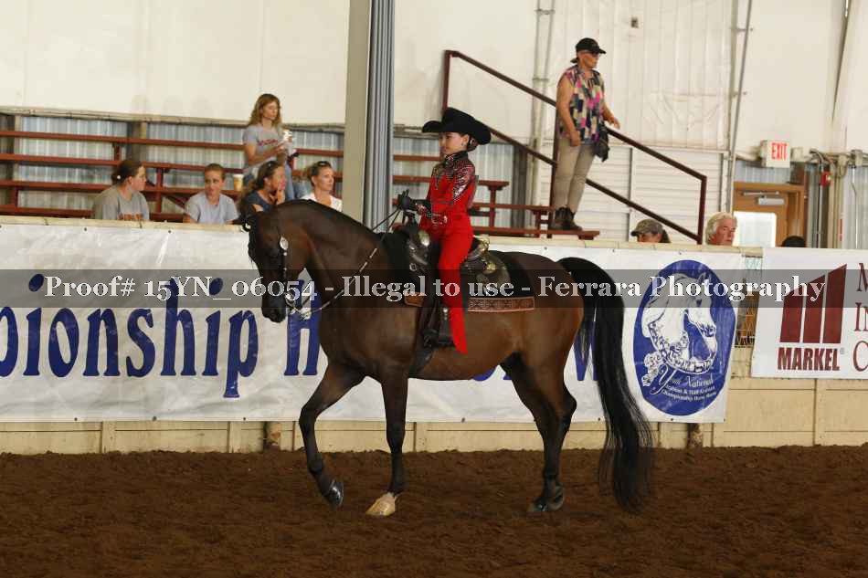 Proof Number 15YN_06054