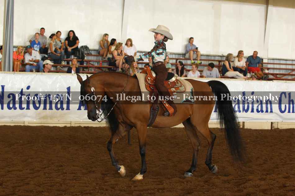 Proof Number 15YN_06074