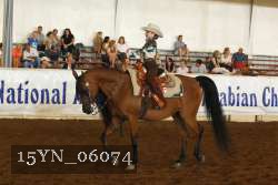 15YN_06074 thumbnail