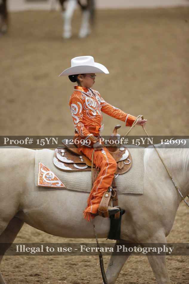 Proof Number 15YN_12699