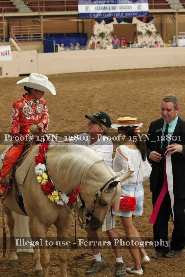 Proof Number 15YN_12801