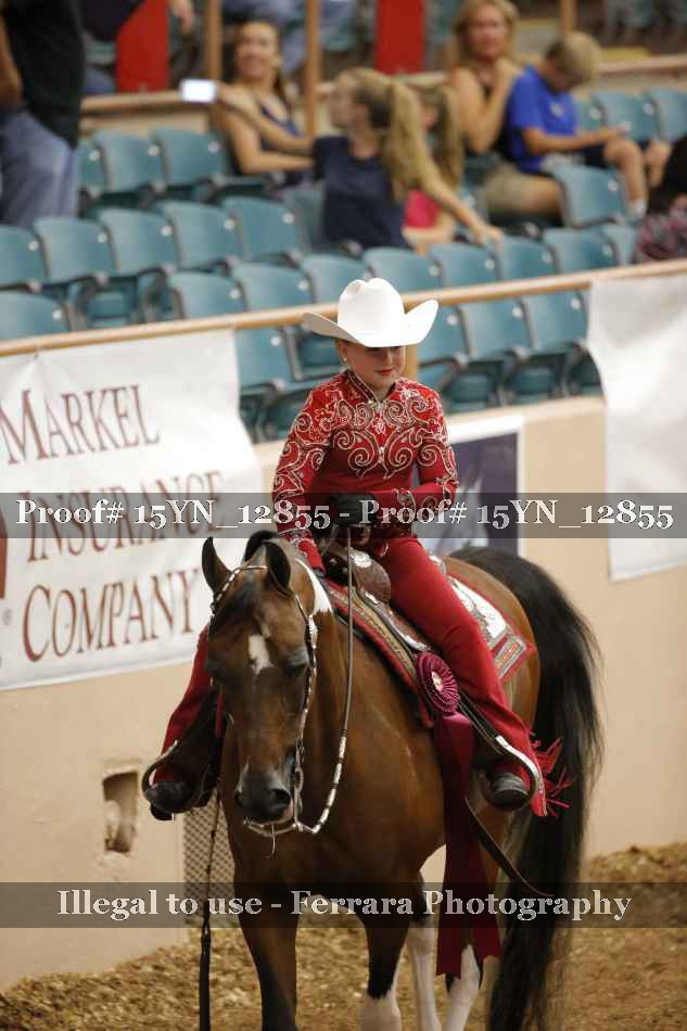 Proof Number 15YN_12855