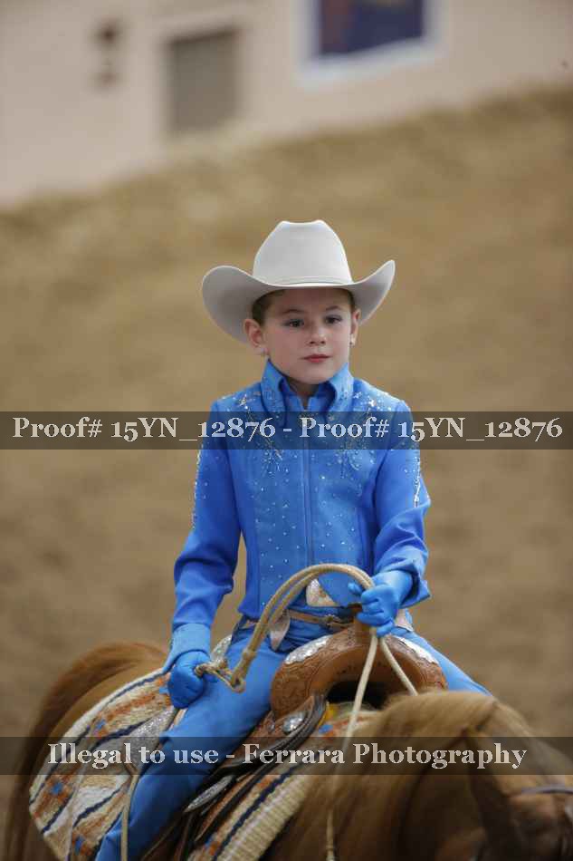 Proof Number 15YN_12876